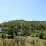 Beautiful surroundings of quinta do retiro