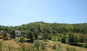 Beautiful surroundings of quinta do retiro