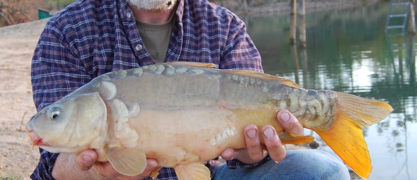 Fishing around Quinta do Retiro