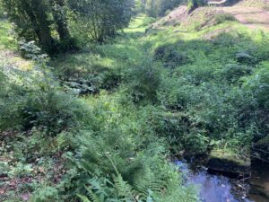 Beautiful river at quinta do retiro